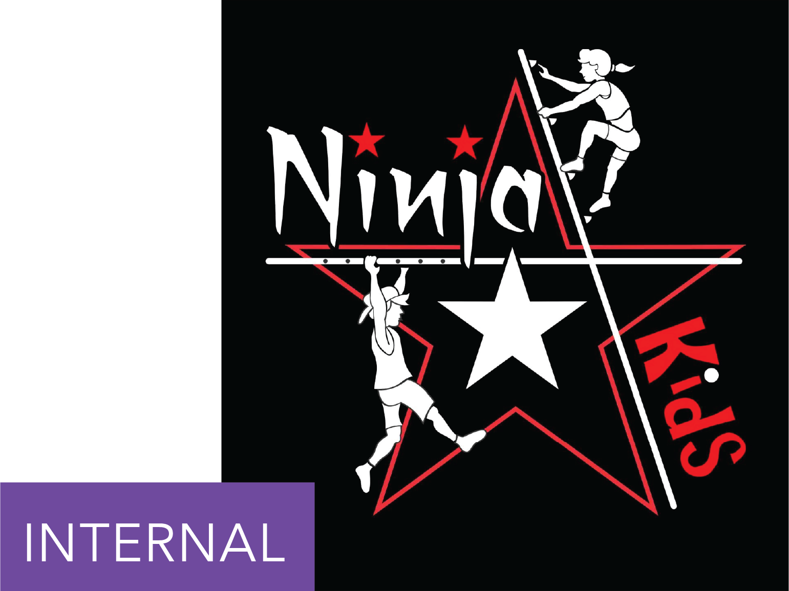 Ninja Kids Internal
